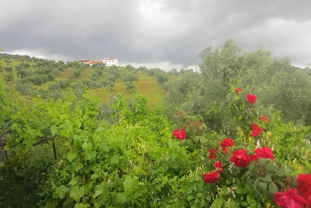 Cortijo 