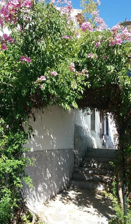 Holiday home Cortijo 