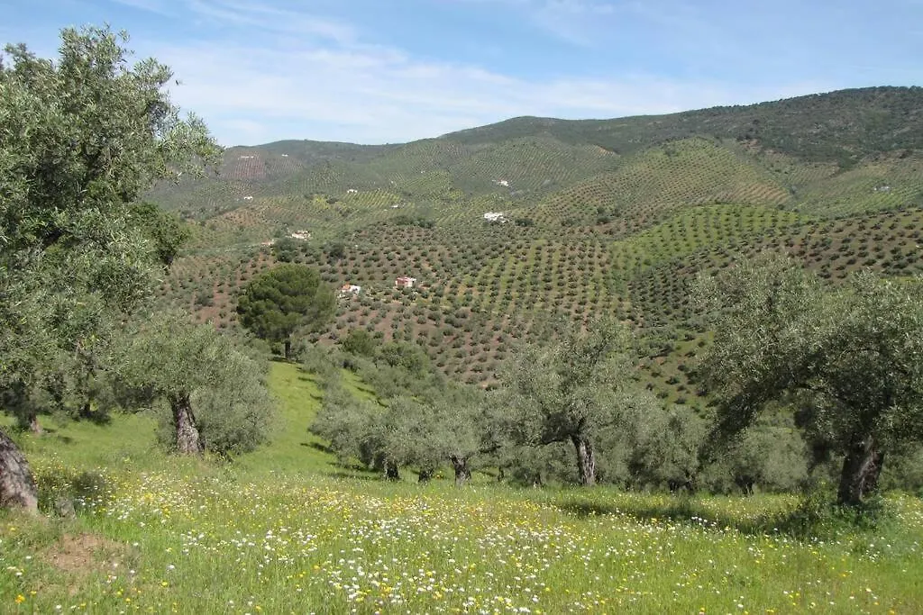 Holiday home Cortijo 
