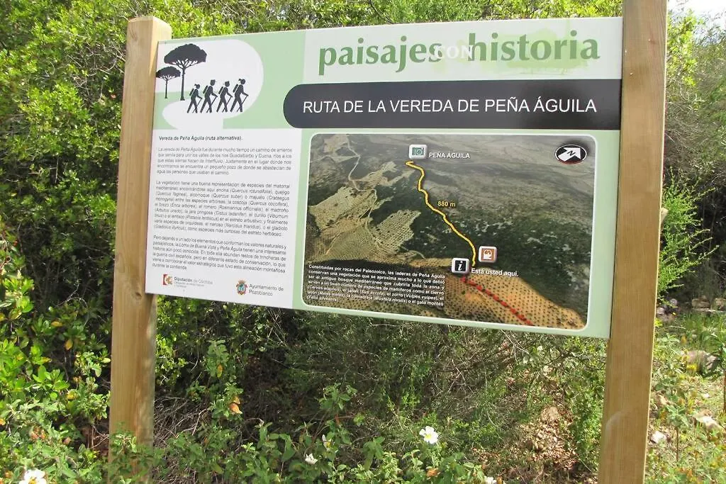 Cortijo 