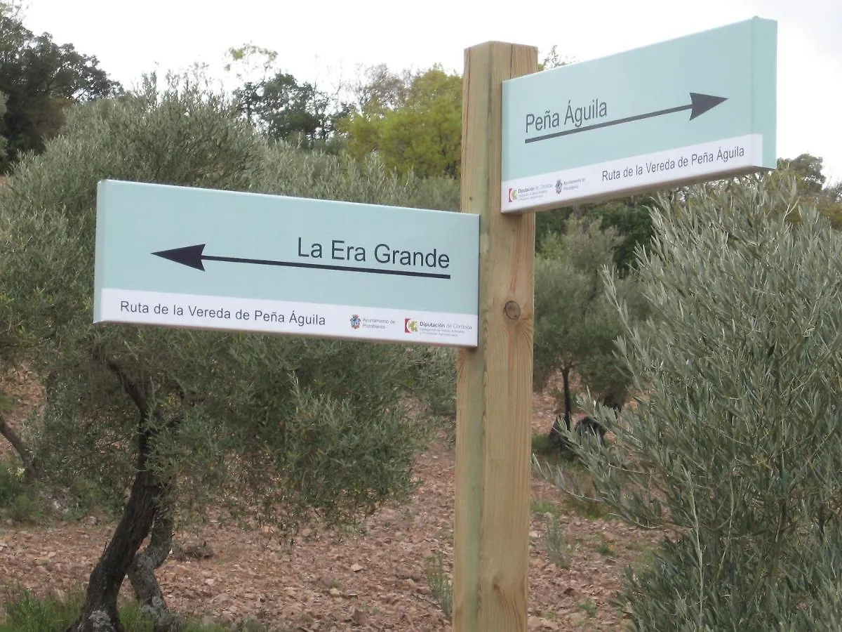 Cortijo 