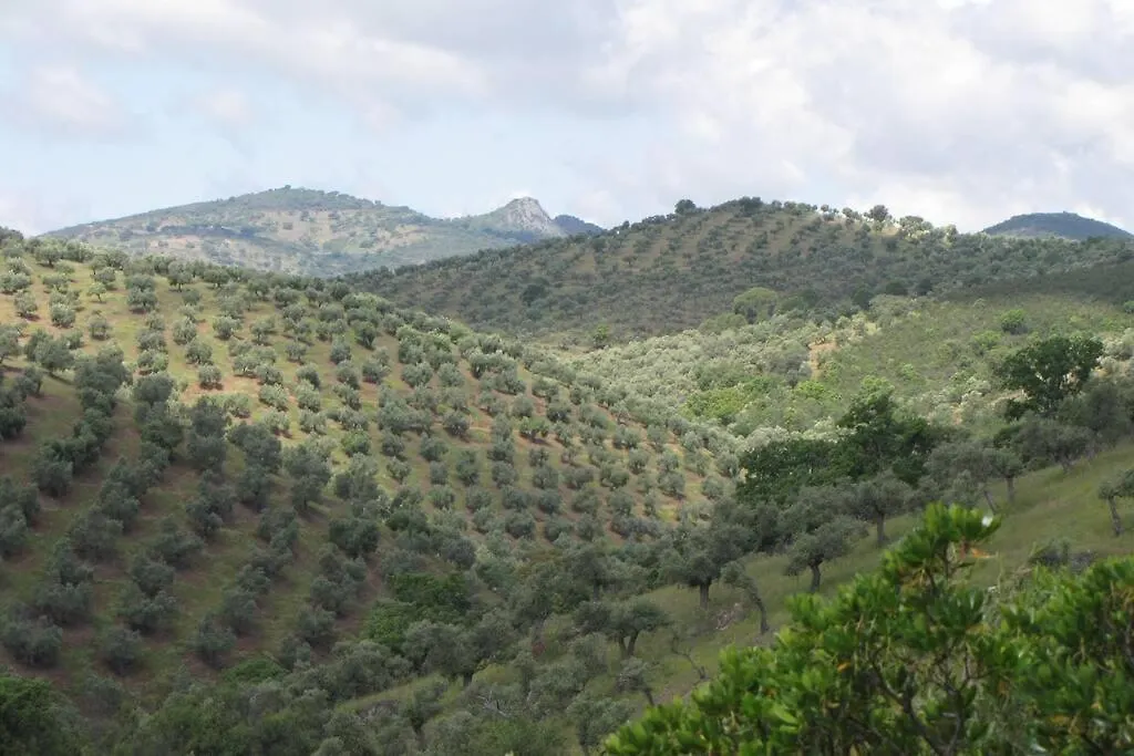 Holiday home Cortijo 